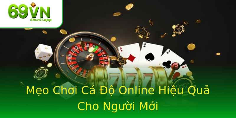 Mẹo Chơi Cá Độ Online Hiệu Quả Cho Người Mới Mẹo Chơi Cá Độ Online Hiệu Quả Cho Người Mới