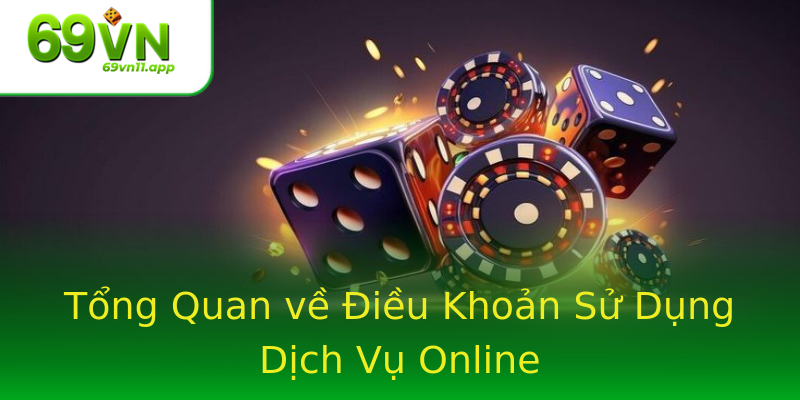 Tổng Quan về Điều Khoản Sử Dụng Dịch Vụ Online